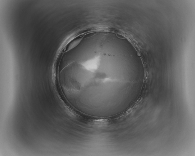 X0000111480053200907210957