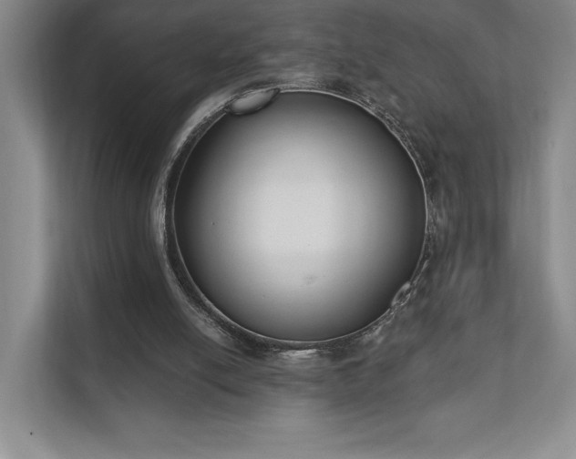 X0000111480054200907210957