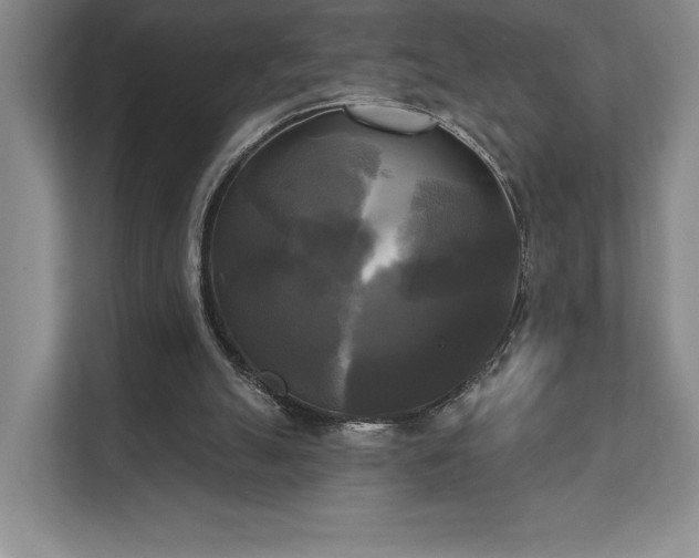 X0000111480055200907210957