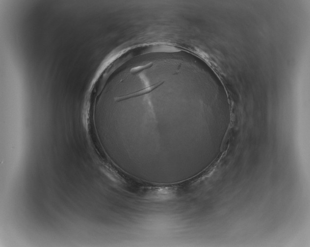 X0000111480056200907210957