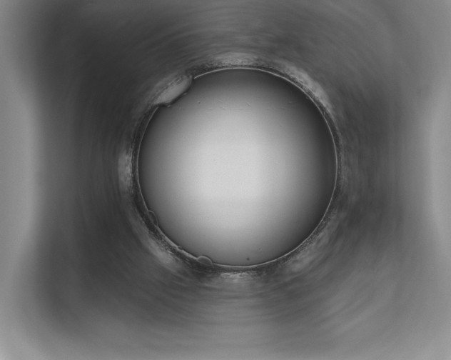 X0000111480057200907210957
