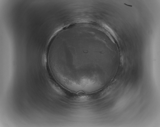 X0000111480059200907210957