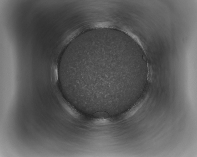 X0000111480061200907210957