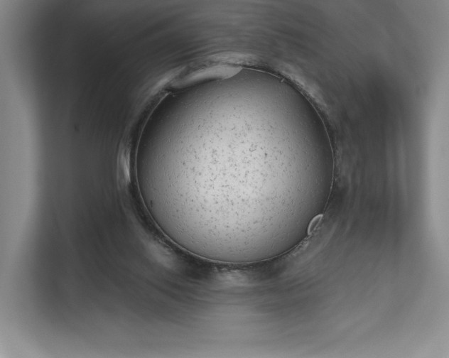 X0000111480062200907210957