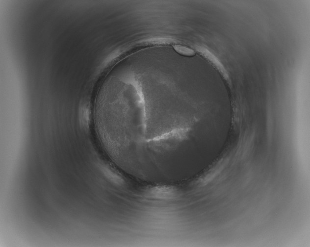 X0000111480063200907210957