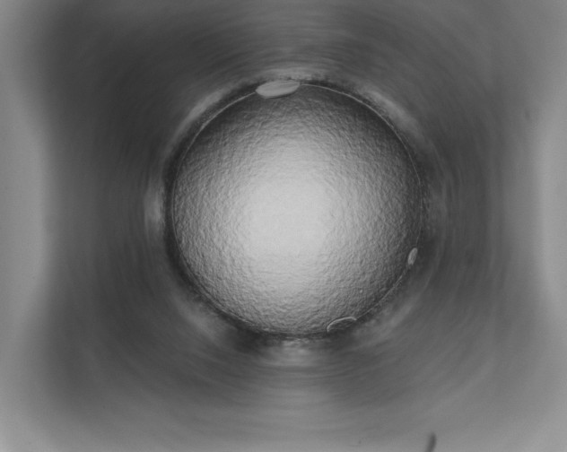 X0000111480064200907210957