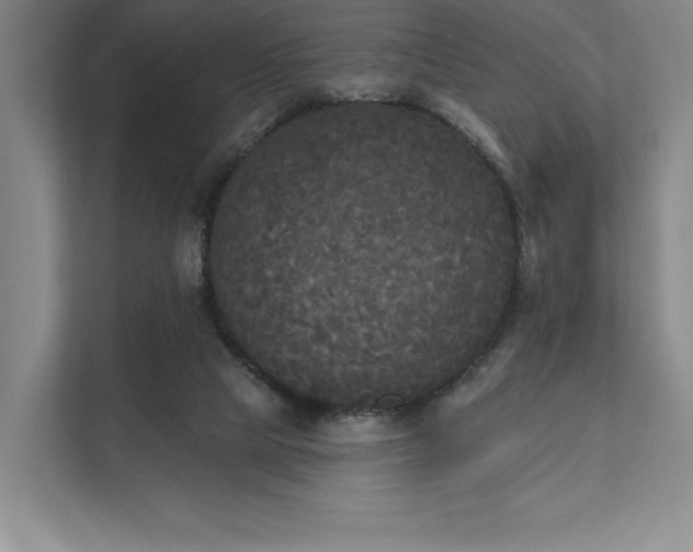 X0000111480065200907210957
