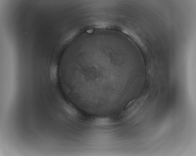 X0000111480066200907210957