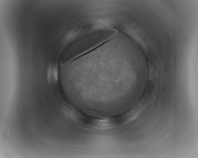X0000111480068200907210957