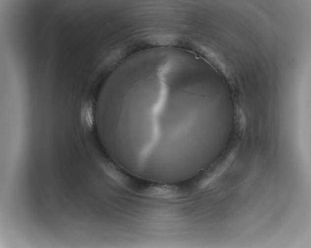 X0000111480069200907210957