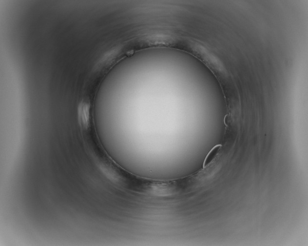 X0000111480070200907210957