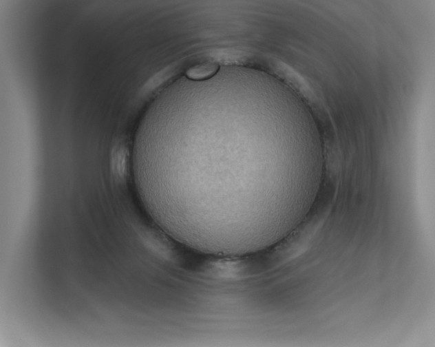 X0000111480071200907210957