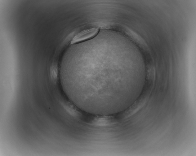 X0000111480072200907210957
