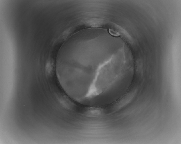 X0000111480073200907210957