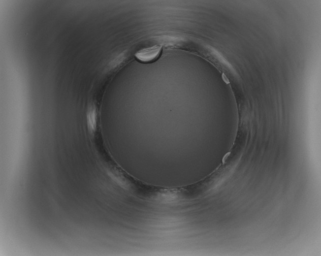 X0000111480076200907210957