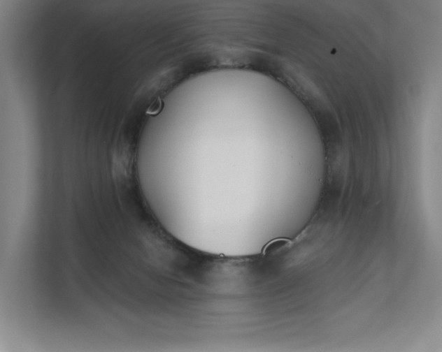 X0000111480078200907210957
