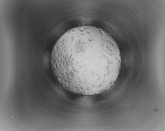 X0000111480082200907210957