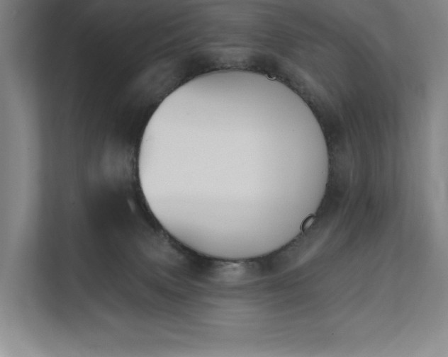 X0000111480083200907210957
