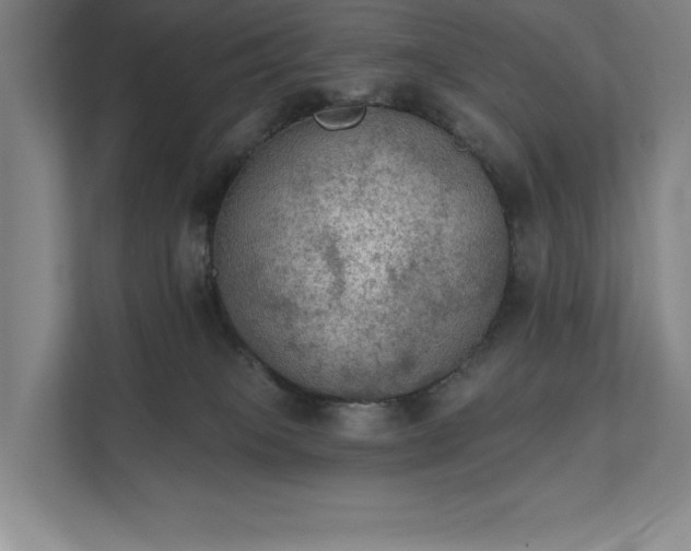 X0000111480085200907210957
