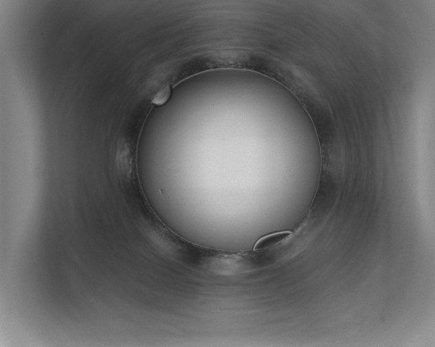 X0000111480086200907210957