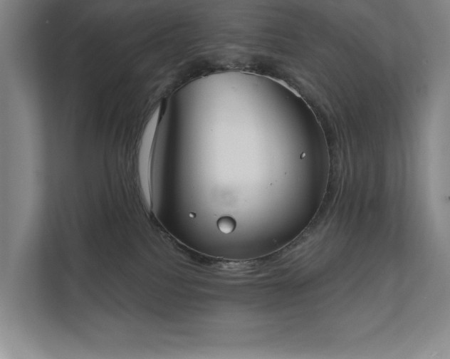X0000111480088200907210957