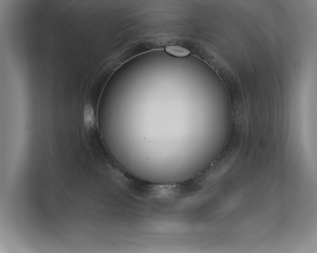 X0000111480089200907210957