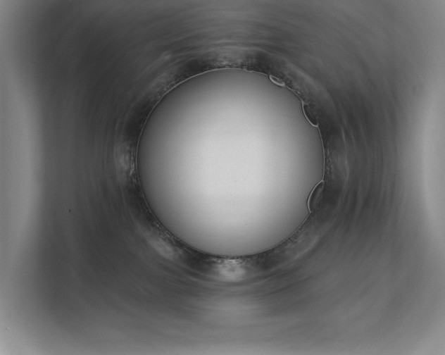 X0000111480091200907210957