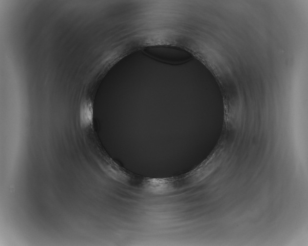 X0000111480095200907210957