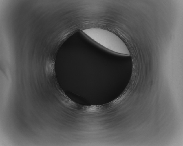 X0000111480096200907210957