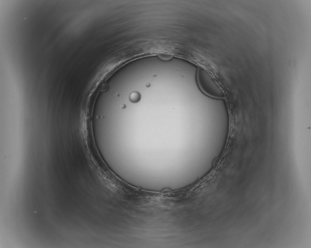 X0000111480098200907210957