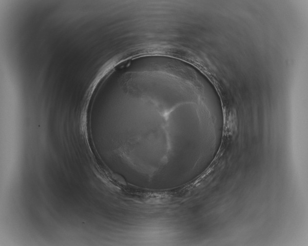 X0000111480099200907210957