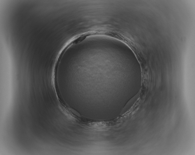 X0000111480100200907210957