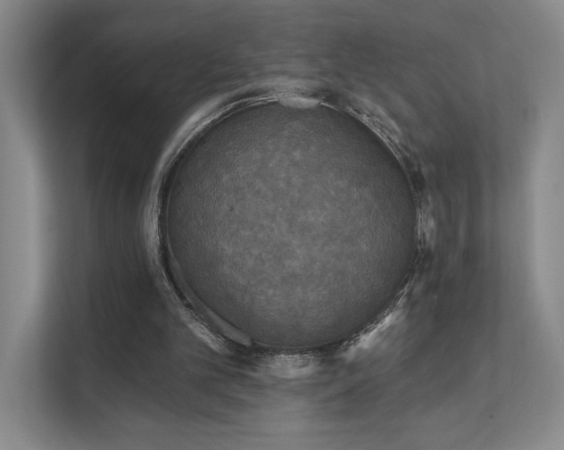 X0000111480101200907210957