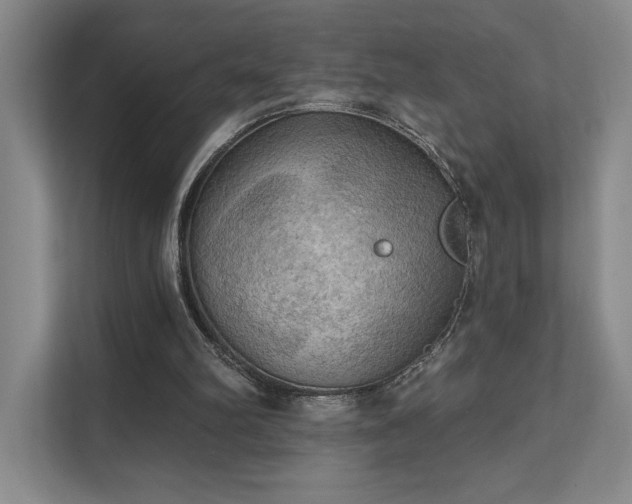 X0000111480102200907210957