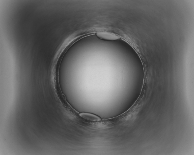 X0000111480103200907210957