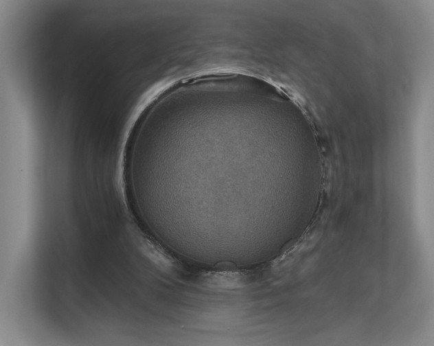 X0000111480104200907210957