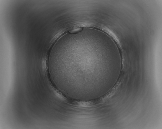 X0000111480105200907210957