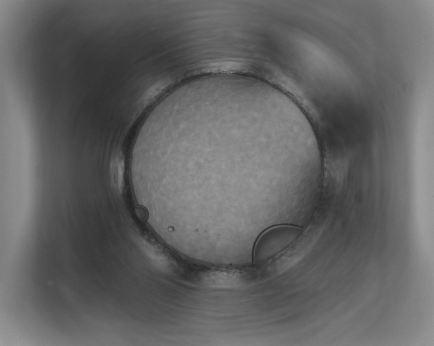 X0000111480110200907210956