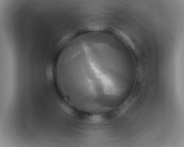 X0000111480114200907210956
