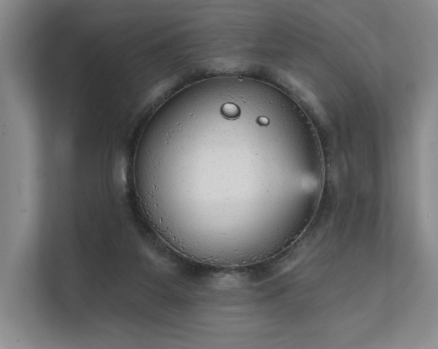 X0000111480115200907210956