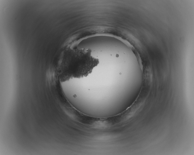 X0000111480119200907210956