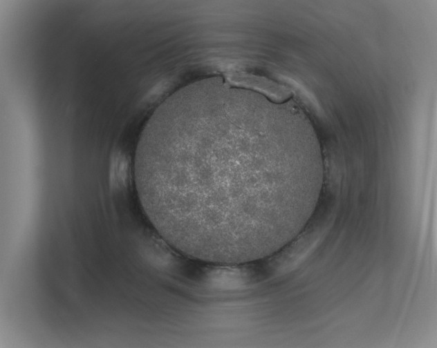 X0000111480123200907210956