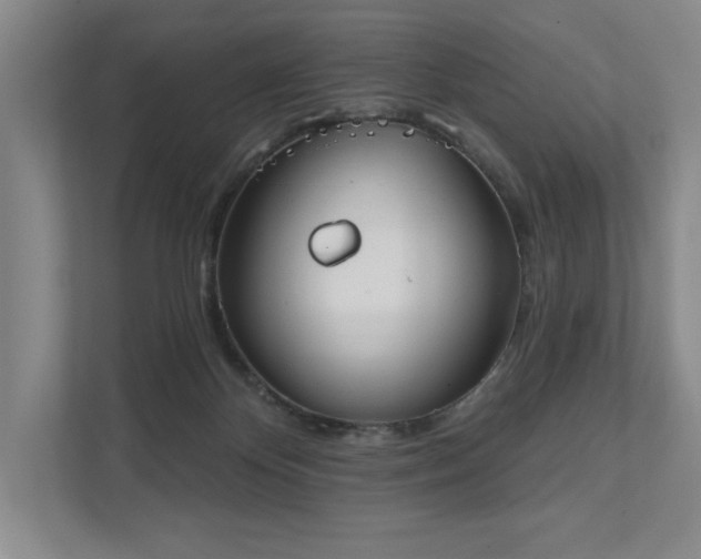 X0000111480124200907210956