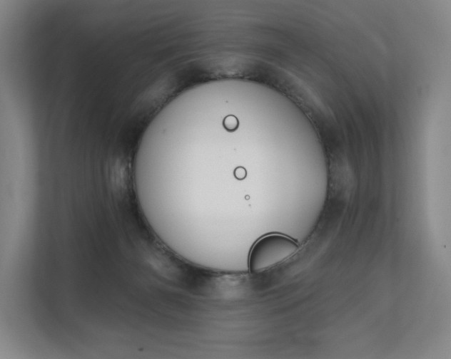 X0000111480126200907210956