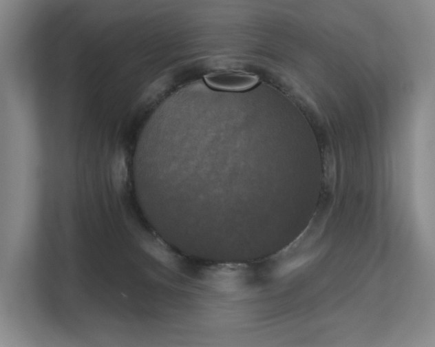 X0000111480128200907210956