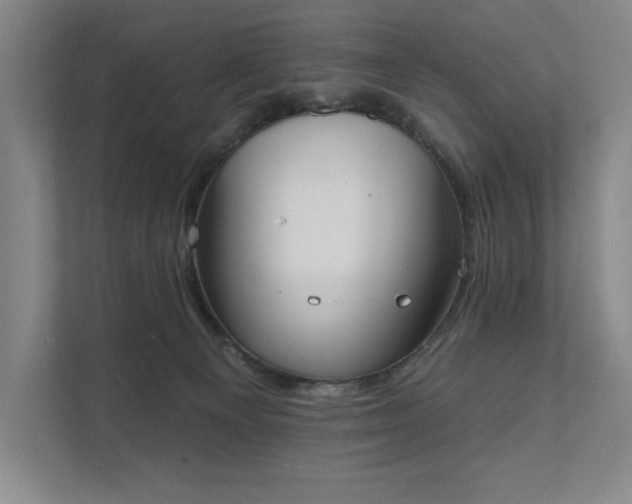 X0000111480129200907210956
