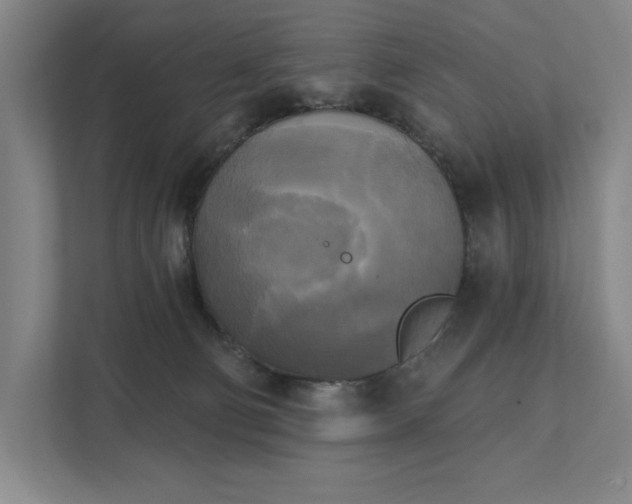 X0000111480130200907210956