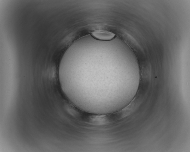 X0000111480132200907210956
