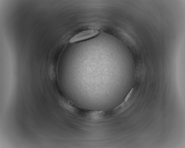 X0000111480136200907210956
