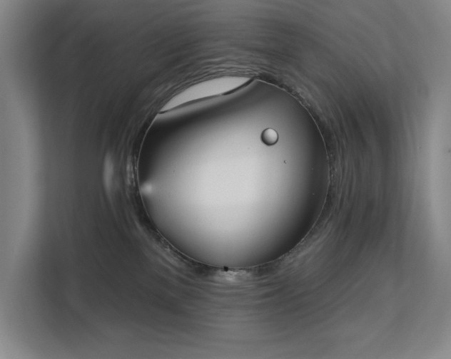 X0000111480137200907210956